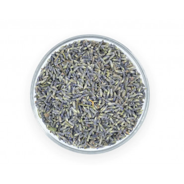 Magical Herbs - Lavender