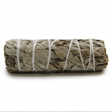 White Sage- Smudge Stick 10cm