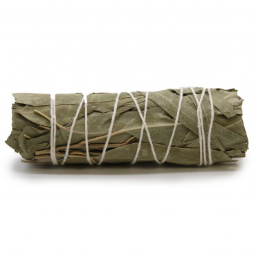 White Sage & Eucalyptus Smudge Stick 10cm