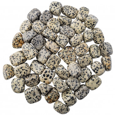 Dalmatian Jasper - Polished Tumblestone 