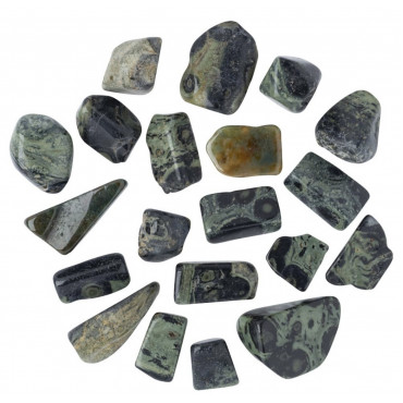 Kambaba Jasper - Polished Tumblestone